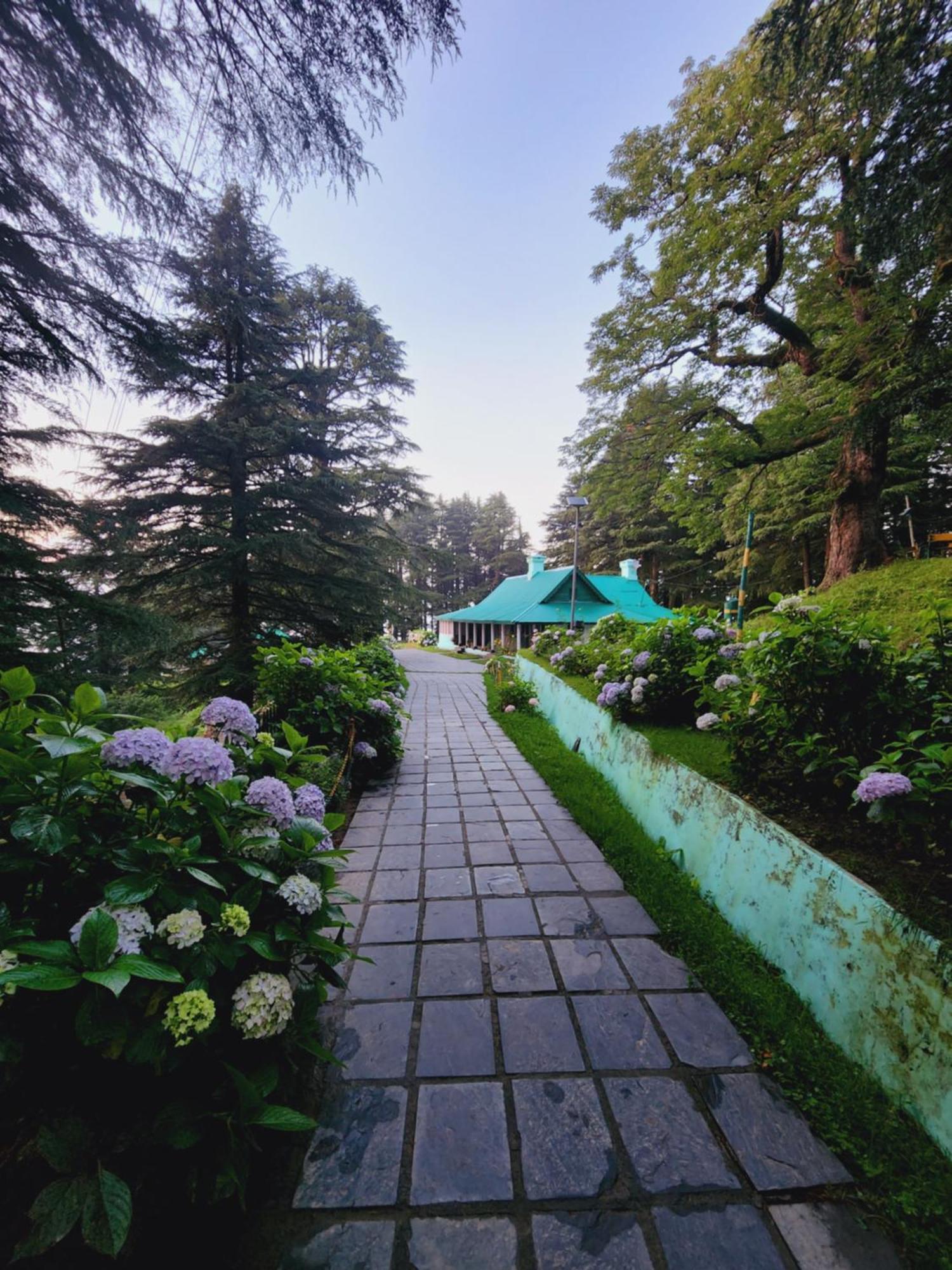 Smarthill Kalatop-Nature'S Heaven Hotell Dalhousie Eksteriør bilde