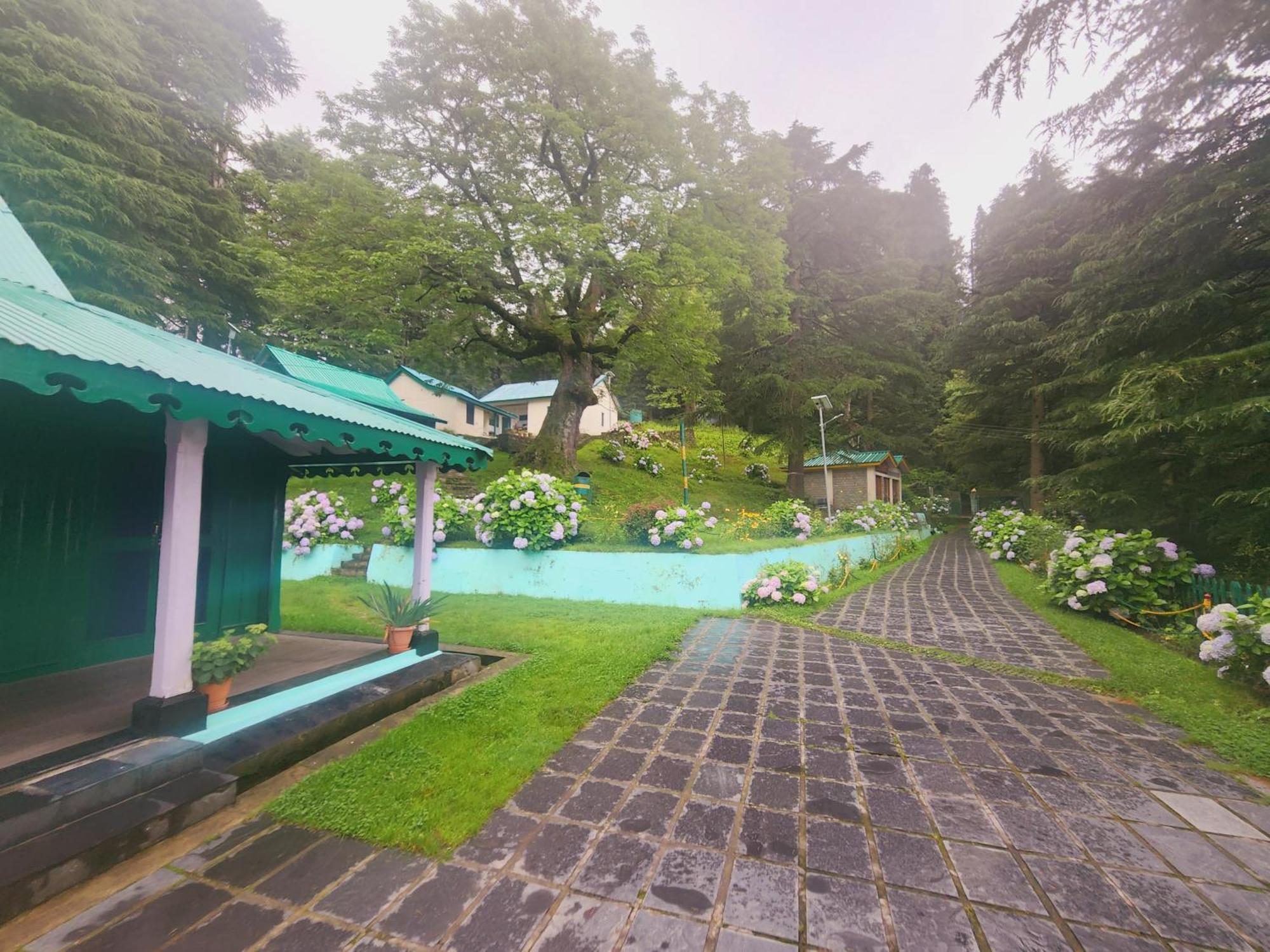 Smarthill Kalatop-Nature'S Heaven Hotell Dalhousie Eksteriør bilde