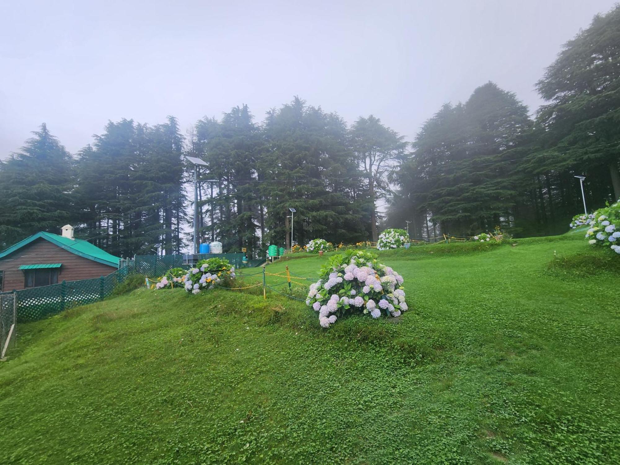 Smarthill Kalatop-Nature'S Heaven Hotell Dalhousie Eksteriør bilde