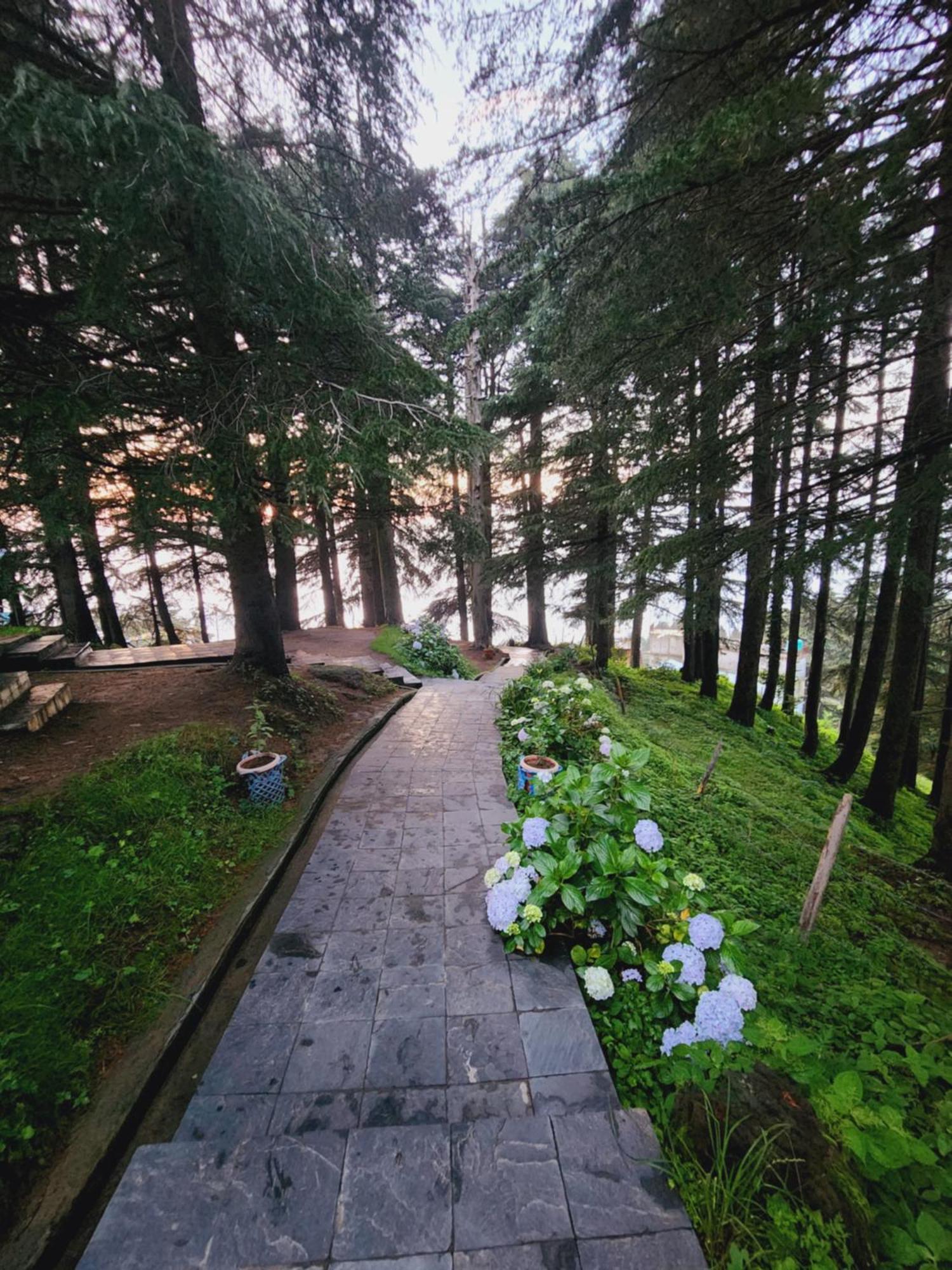 Smarthill Kalatop-Nature'S Heaven Hotell Dalhousie Eksteriør bilde